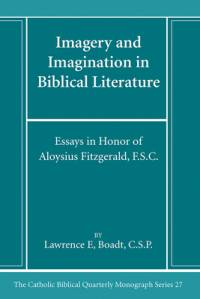 Imagery and Imagination in Biblical Literature av Lawrence Csp Boadt
