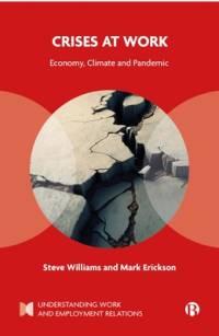 Crises at Work av Steve Williams