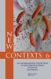 New Contexts av Ian Gouge