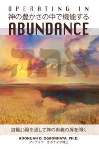 Operating in Abundance (Japanese Edition) av Adonijah O Ogbonnaya Ph D