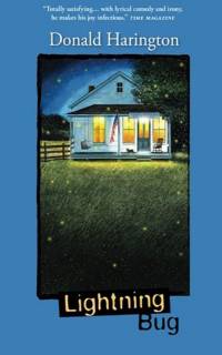 Lightning Bug av Donald Harington
