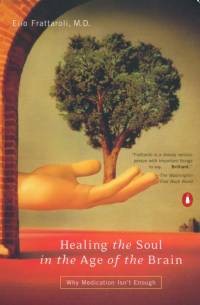 Healing the Soul in the Age of the Brain av Elio Frattaroli