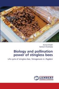 Biology and pollination power of stingless bees av Arshad Shaikh