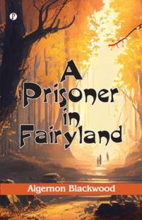 A Prisoner in Fairyland (The Book That Uncle Paul Wrote) av Algernon Blackwood