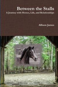 Between the Stalls - a Journey with Horses, Life and Relationships av Allison James