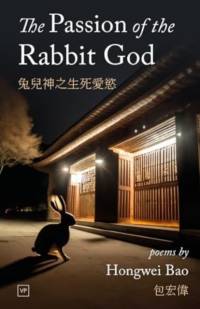 The Passion of the Rabbit God av Hongwei Bao