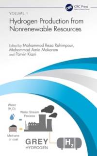 Hydrogen Production from Nonrenewable Resources av Mohammad Reza Rahimpour