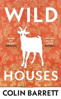 Wild Houses av Colin Barrett