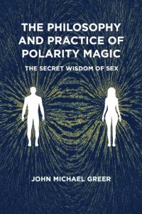 The Philosophy and Practice of Polarity Magic av John Michael Greer