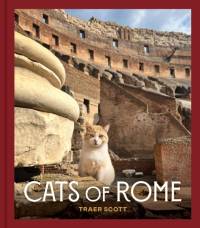 Cats of Rome av Traer Scott