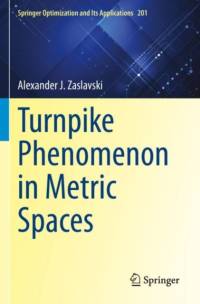 Turnpike Phenomenon in Metric Spaces av Alexander J. Zaslavski