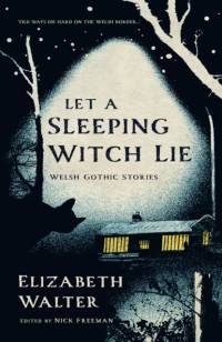 Let a Sleeping Witch Lie av Elizabeth Walter