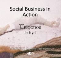 Social Business in Action - Trigonos in Eryri av Richard Grover