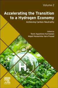 Accelerating the Transition to a Hydrogen Economy av Tonni Agustiono Kurniawan