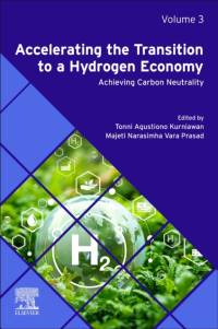 Accelerating the Transition to a Hydrogen Economy av Tonni Agustiono Kurniawan