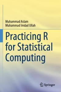 Practicing R for Statistical Computing av Muhammad Aslam