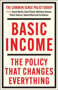 Basic Income av Matthew Johnson