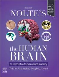 Nolte's The Human Brain av Todd W. Vanderah