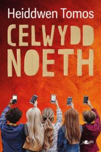 Celwydd Noeth av Heiddwen Tomos