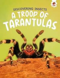 Discovering Insects: A Troop of Tarantulas av Rebecca Storm
