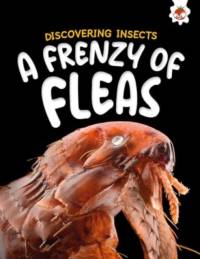 Discovering Insects: A Frenzy of Fleas av Rebecca Storm