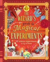 The Wizard's Guide to Magical Experiments av Amanda Wood