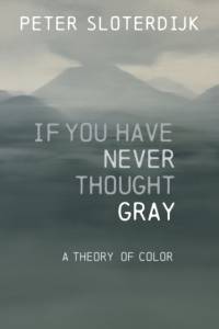If You Have Never Thought Gray av Peter (Karlsruhe School of Design) Sloterdijk