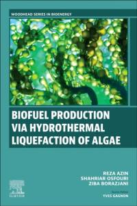 Biofuel Production via Hydrothermal Liquefaction of Algae av Reza (Professor of Petroleum Engineering Azin